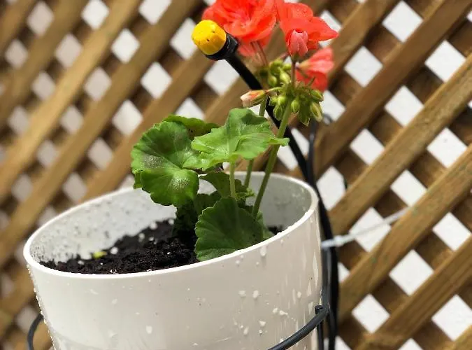 Punta Brava Relax * Пуэрто-де-ла-Крус