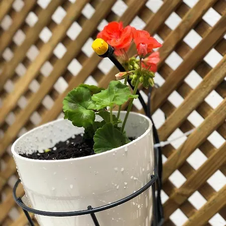 Punta Brava Relax * Puerto de la Cruz (Tenerife)